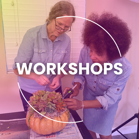 Senior Workshop Icon