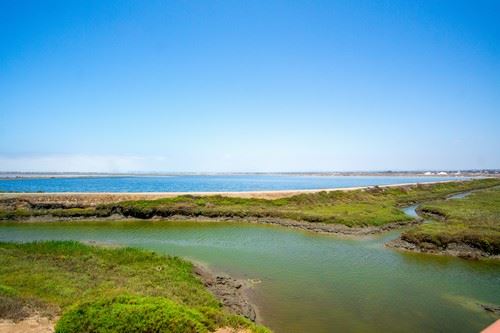 Tijuana Estuary on the coast.